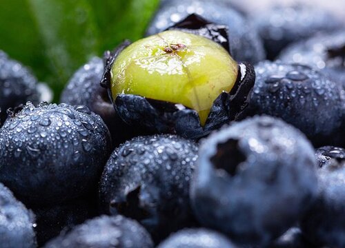 蓝莓需要去皮吗