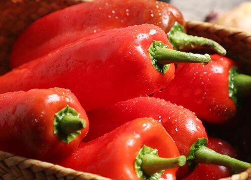 云南蔬菜品种大全