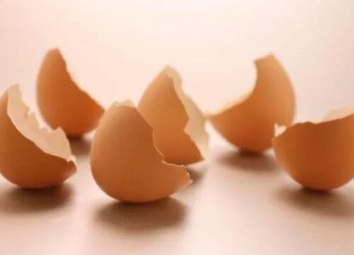 橘子皮和鸡蛋壳养花方法