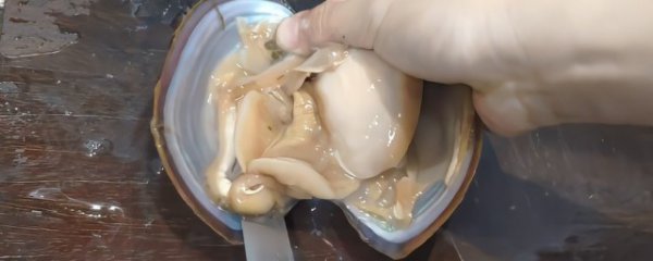 田蚌怎么处理干净