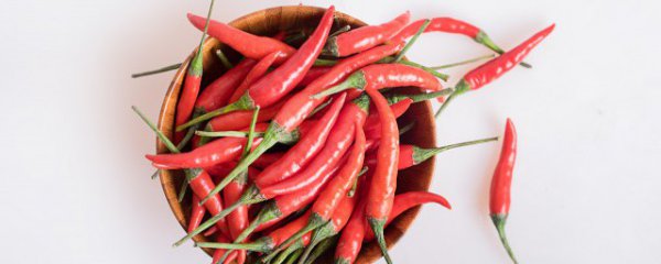 盆栽辣椒怎么养才能旺盛