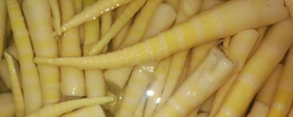 竹笋在水里能泡几天发芽