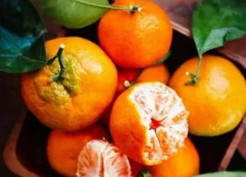 温性水果有哪些种类