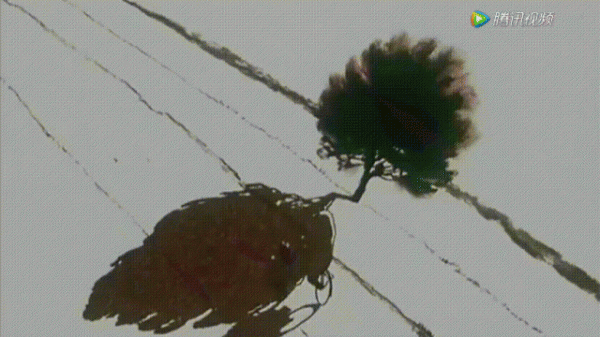 对孩子有意义的动画片推荐