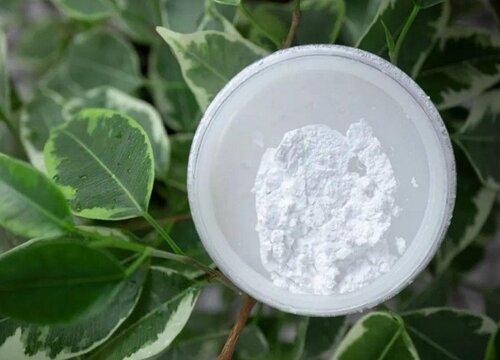 花卉营养液十大排名