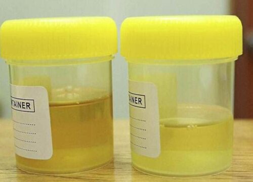 花卉营养液十大排名