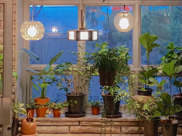 处座女喜欢男生会主动吗