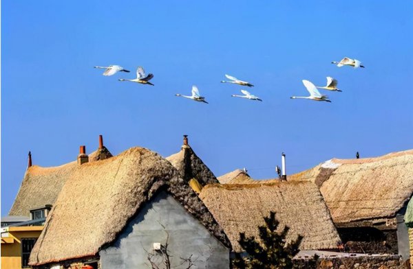 荣成市在哪个城市