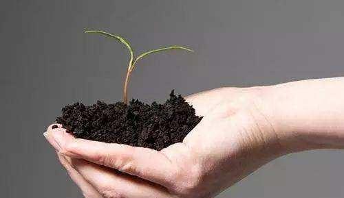 什么是微生物肥料