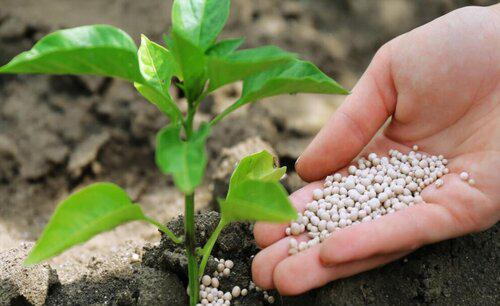 什么是微生物肥料