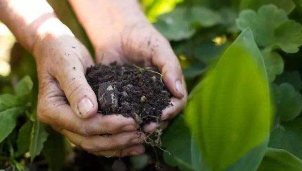 什么是微生物肥料
