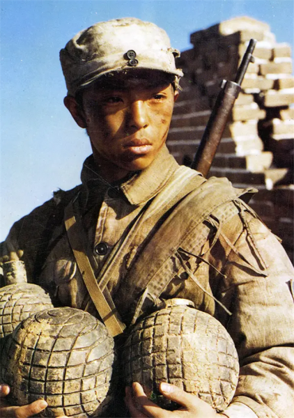 好看的国产战争电影排行榜