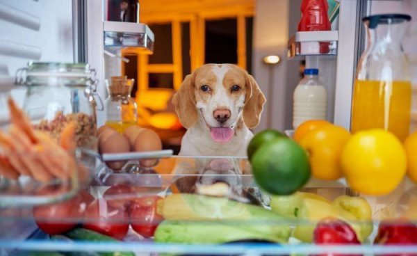 冰箱用什么杀菌和去味