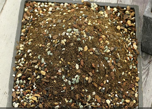 简单多肉花土配制方法