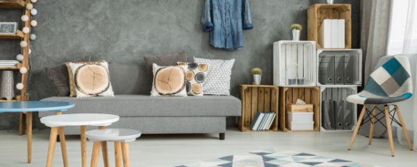 南方冬天好养的室内花