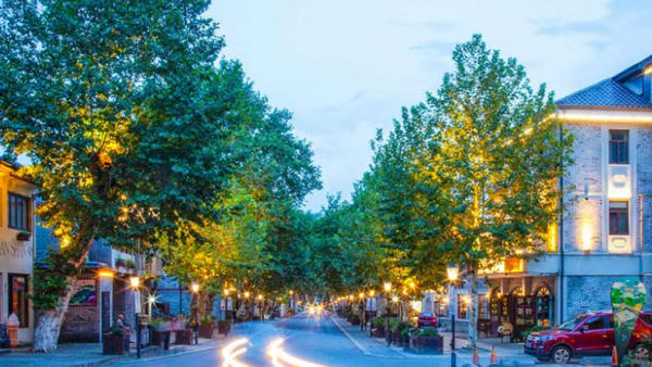 莫干山是属于哪个省哪个市的地方