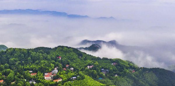 莫干山是属于哪个省哪个市的地方