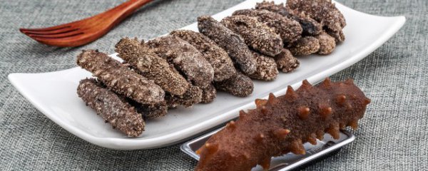 海参卵如何储存保鲜方法