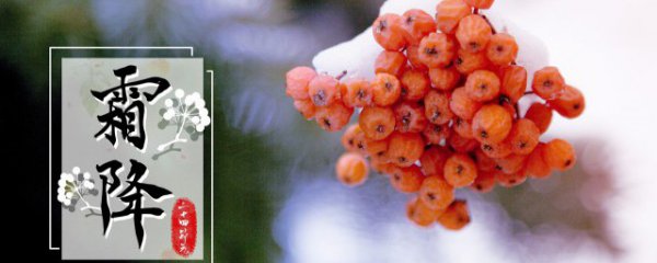 霜降后能钓鱼吗