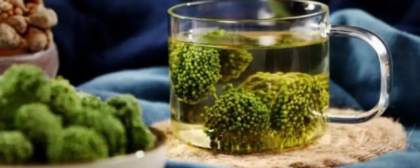 三七花的功效是什么