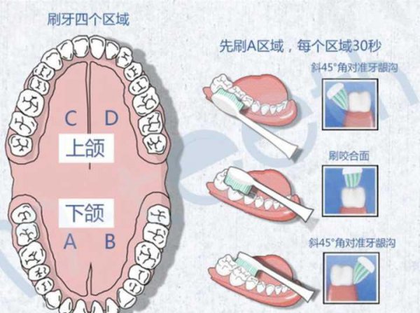 电动牙刷是放着不动吗