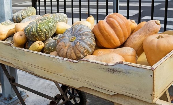 南瓜的种类名称和图片