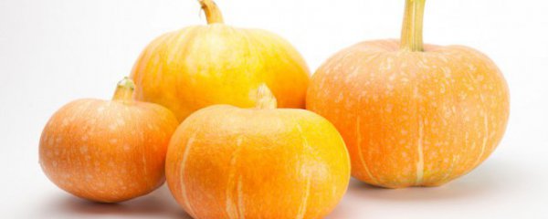 红南瓜烂了一点还能吃吗