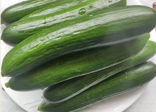 黄瓜是热性还是凉性