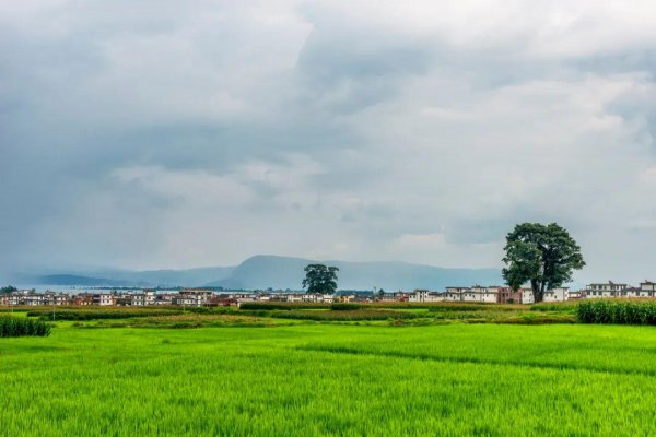 云南12个最好玩的地方