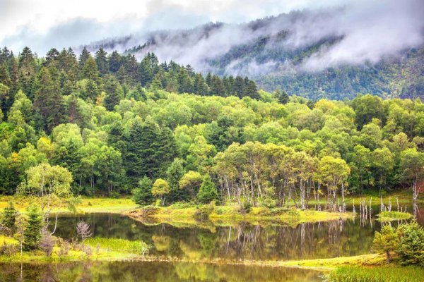 云南12个最好玩的地方