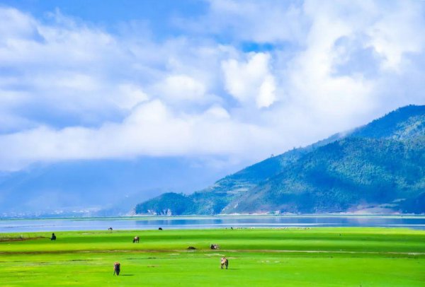 云南12个最好玩的地方