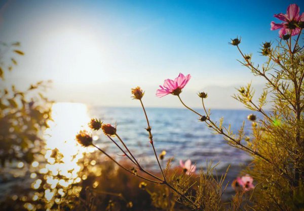 云南12个最好玩的地方