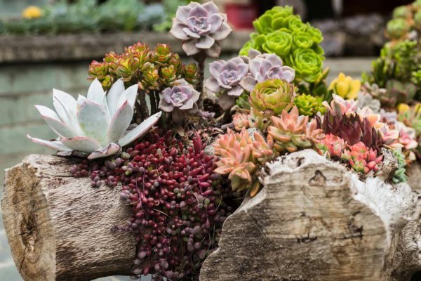 云南12个最好玩的地方