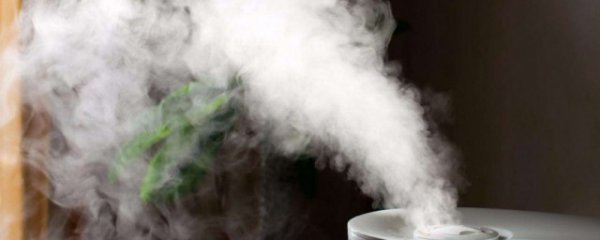 如何挑选好的空气加湿器