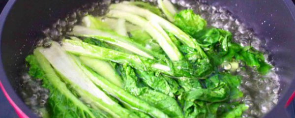 小白菜要焯水吗