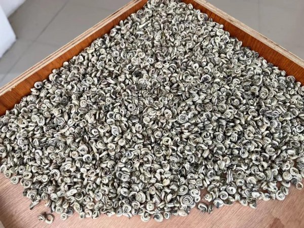 茉莉茶叶属于什么茶系种类