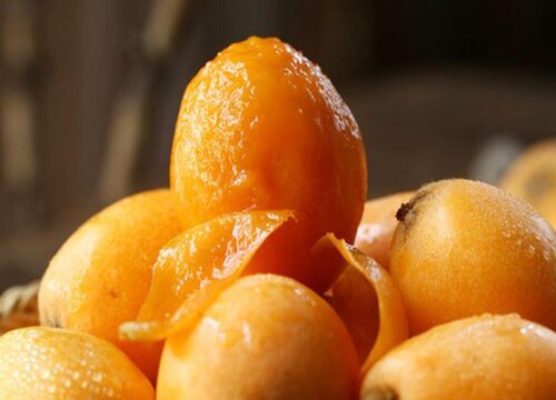 杭州枇杷什么时候上市