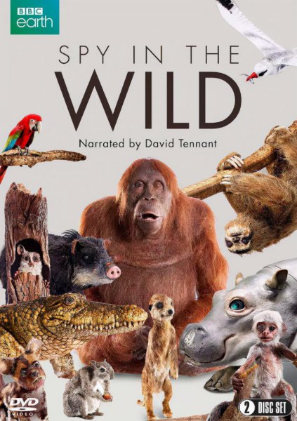 儿童电影推荐经典电影推荐