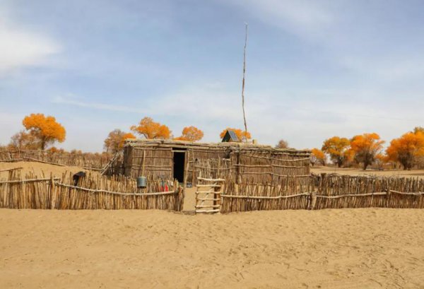 中国最大的村庄是哪里