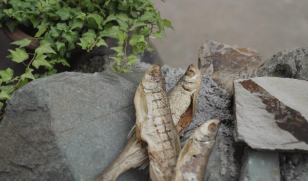 湖南水府庙属于哪个市