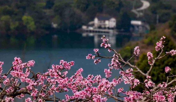 湖南水府庙属于哪个市