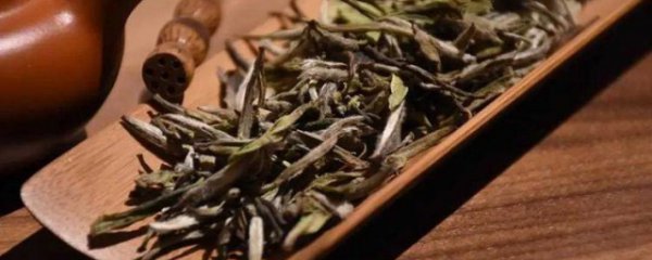 新鲜白茶存放方法