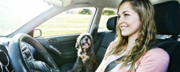 汽车底盘什么材料