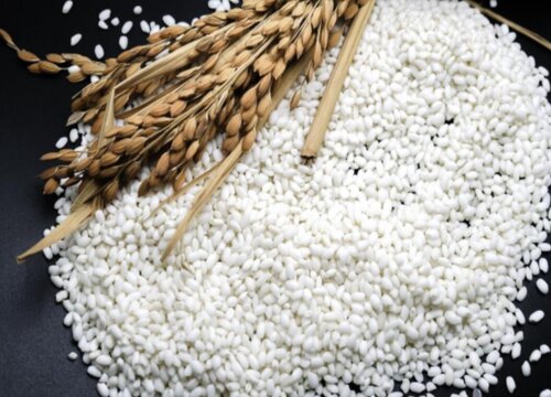 米里面生了很多虫子还能吃吗