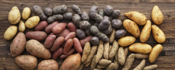 土豆吃的是什么部位