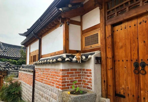 韩国旅游三天的攻略