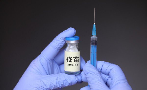 养暹罗猫的禁忌