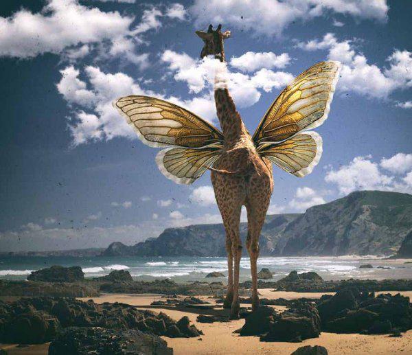 宇宙的主人是谁