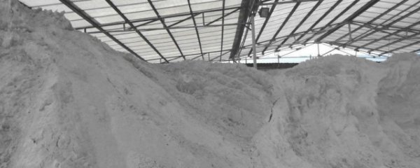 水泥主要是什么成分