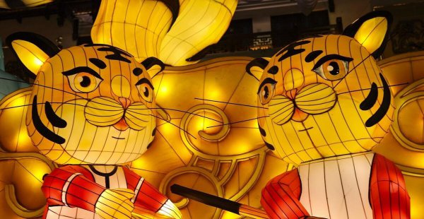 老虎的别称都有什么美名